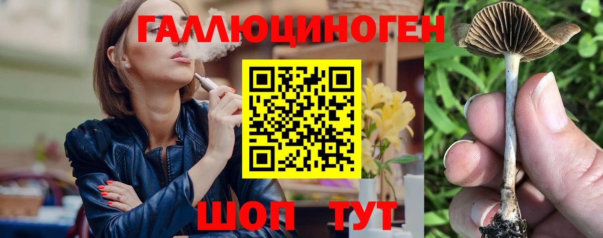 Медногорск  Галлюциногенные грибы мицелий  Вход с VPN 